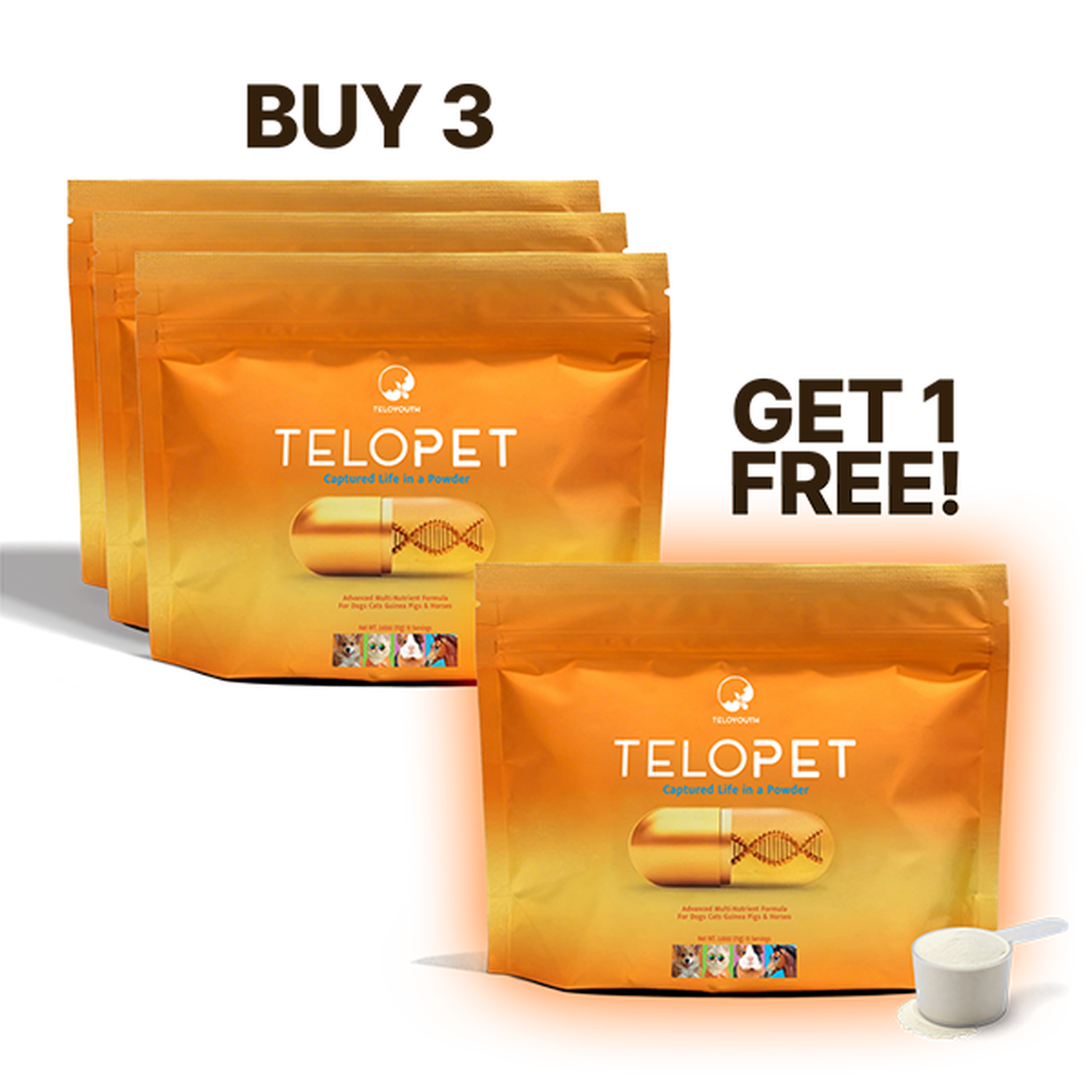 4 TeloPet Powder 15 Servings